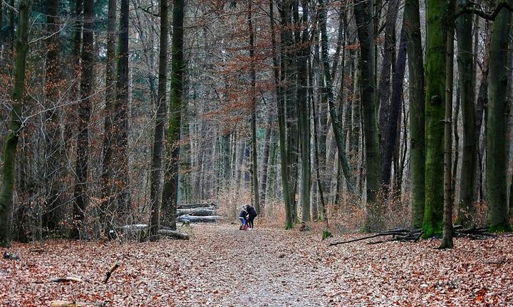 Waldcafe Hainbachtal